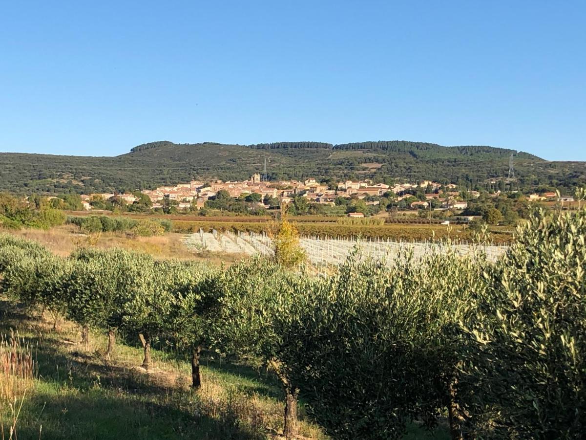Neffies Val Des Bruyeres - Gite 15Mn Pezenas Avec Terrasse Et Cour Close - Parking Privatif Securise - Wifi Ftth Gratuit מראה חיצוני תמונה