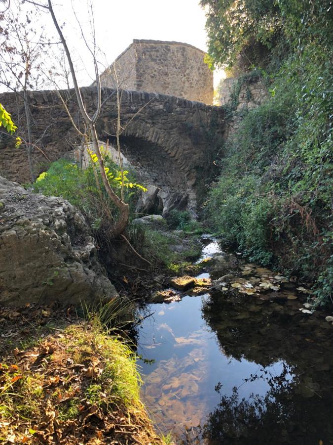 Neffies Val Des Bruyeres - Gite 15Mn Pezenas Avec Terrasse Et Cour Close - Parking Privatif Securise - Wifi Ftth Gratuit מראה חיצוני תמונה
